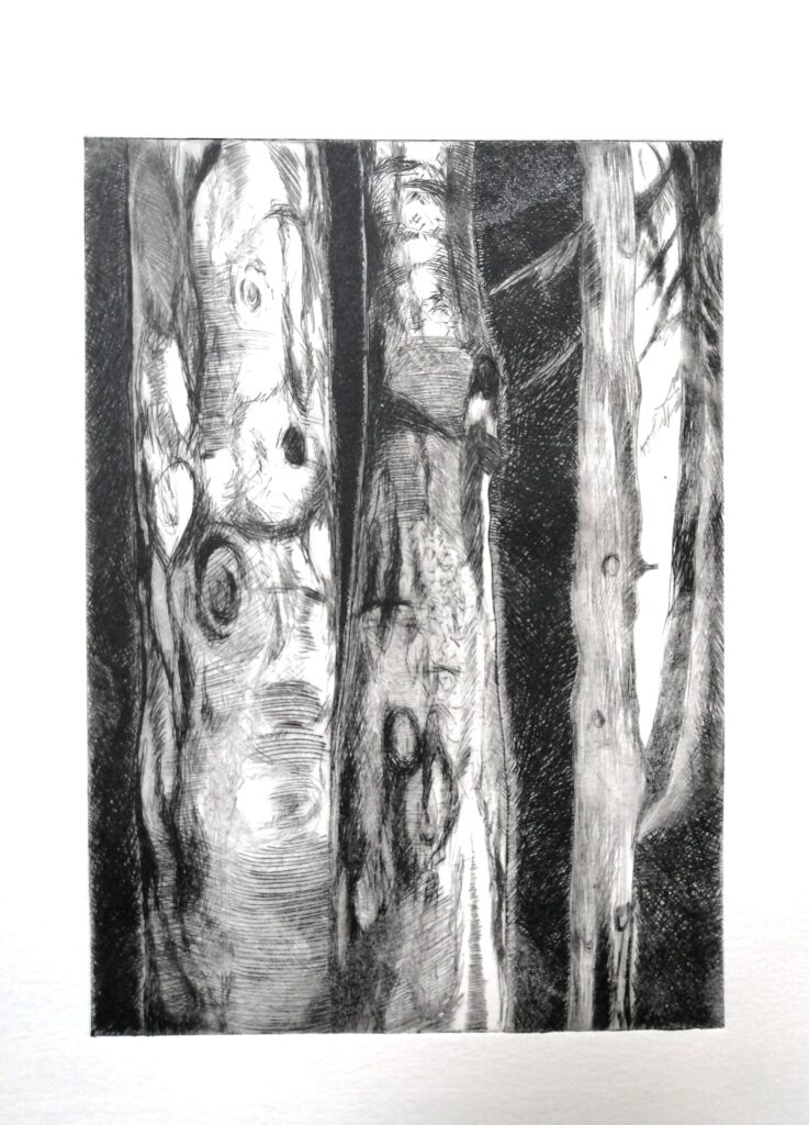 Baum